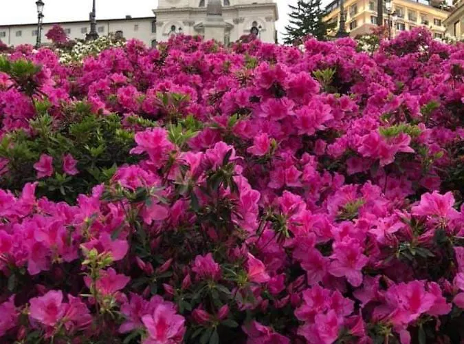 罗马在你心中 - 西班牙广场公寓